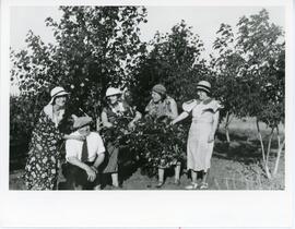 Five People By a Tree in Biggar, SK