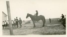 Dennis Herring and Brookie The Horse