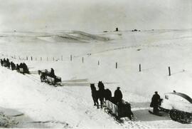 Hauling Wheat to Biggar