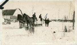 A Horse Drawn Sled in Biggar Saskatchewan