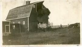 Loading Hay Into A Barn