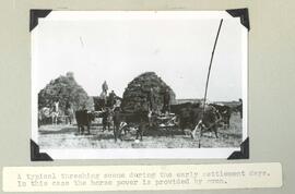 Threshing scene during the early settlement days