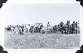 Threshing scene with horses