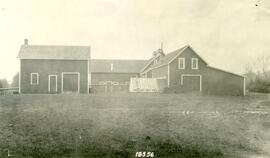 Farm buildings at the Tree Nursery (Forestry Farm)