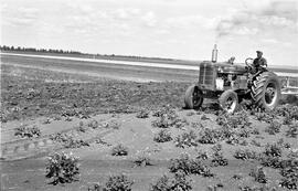 Bernard Bosgoed with Graham Hoeme Cultivator