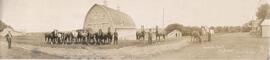 Horses on Brookside Farm