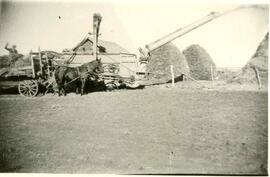 Copithorn farm - threshing wheat