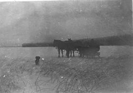 Team of horses pulling sleigh