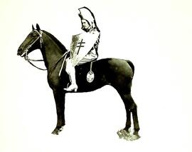 Parade Horse