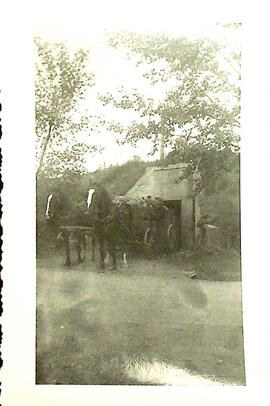 Fort San Horses and Cart 2