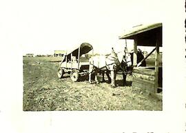 Fort San Horses and Cart 1