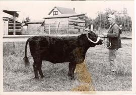 Lyle Taylor and bull