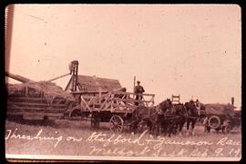 Threshing Crew on Stafford and Jamieson Ranch