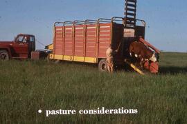 Pathlow Pasture near Melfort, Saskatchewan