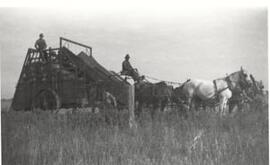 Bailing hay