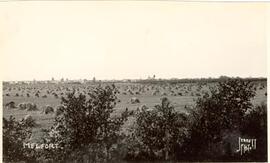 View of Melfort, Sask.