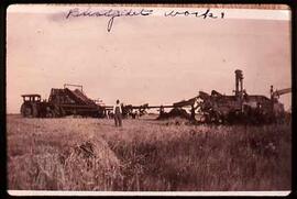 Threshing at Roy Lobb's