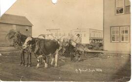 A horse drawn binder