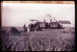 Threshing team, 1923