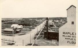 Melfort Flour Mills