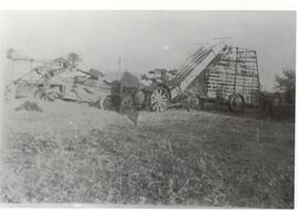 Harvest Scene