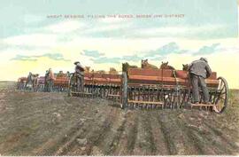 Wheat seeding and filling boxes