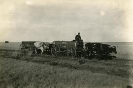 Hauling Wheat to the Elevator, Phippen