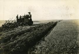 Breaking land near Wynyard