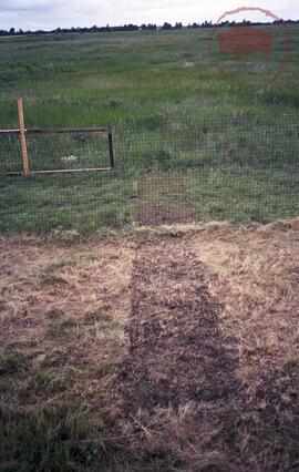 Area fenced off for vegetation recovery experiment