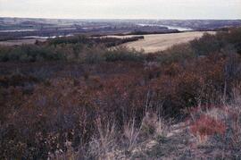 Archaeology landscape study