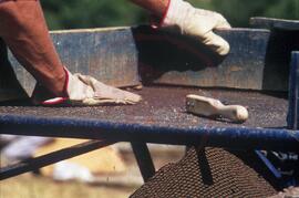 Screening using an archaeology sifting board