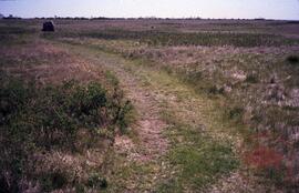 Figure 4.12, site 7 - grassy plateau trail