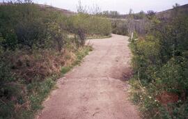 Path showing damage from water run-off