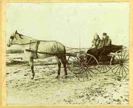 Women in carriage