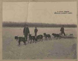 "A Dog Train Prince Albert, Sask."