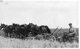 Sulky plow and five horses.