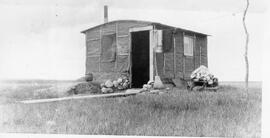 Tar paper homestead shack