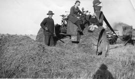 Steam engine fired with straw.