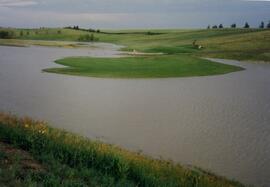 Rosetown Greens