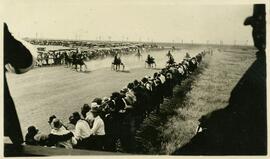 Harness Racing