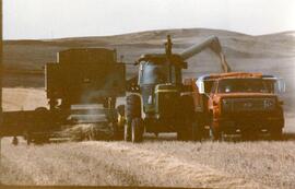 Tractor pulling combine and filling truck "on the fly"