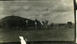 Howard Powell's sod barn