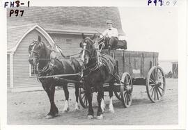 Hauling grain with horses