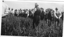 A Field Day on Farm