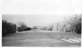 Driveway on Maple Grove Farm