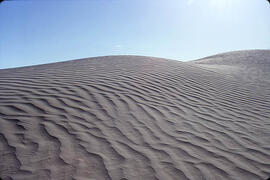 The Great Sand Hills of Saskatchewan