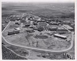 Campus - Aerial Layout