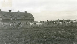 Excursion to the University of Saskatchewan Main Barn