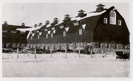 Main Barn - Exterior