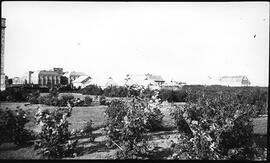 Greenhouses